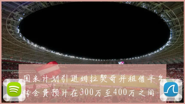 国米计划引进姆拉契奇并租借半年转会费预计在300万至400万之间