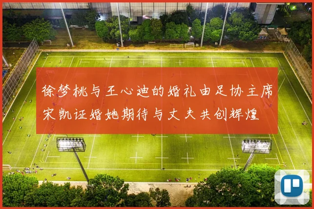 徐梦桃与王心迪的婚礼由足协主席宋凯证婚她期待与丈夫共创辉煌