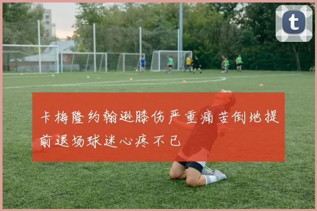 卡梅隆约翰逊膝伤严重痛苦倒地提前退场球迷心疼不已