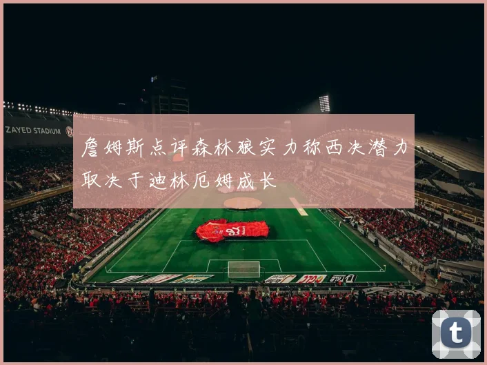 詹姆斯点评森林狼实力称西决潜力取决于迪林厄姆成长